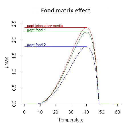 Graph food matrix effect